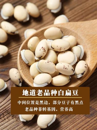 白扁豆出售