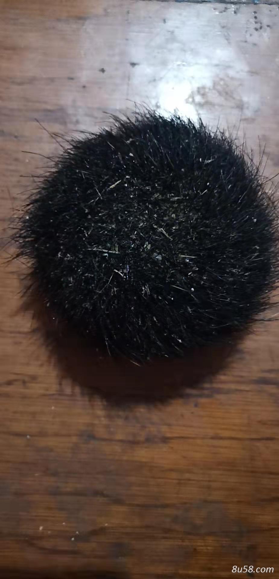 猪宝