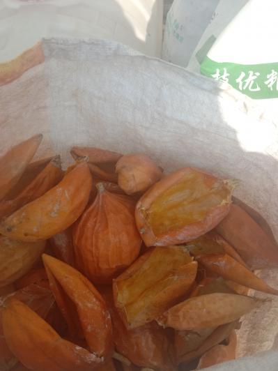 出售瓜蒌皮