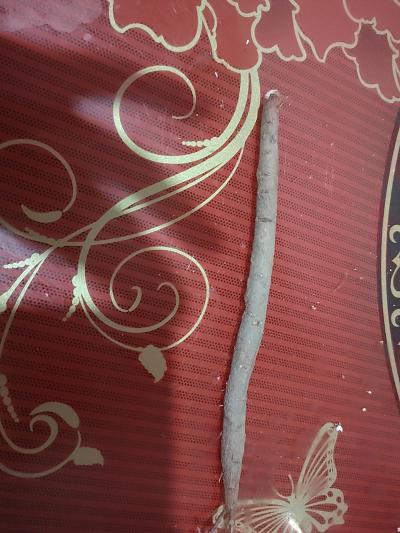 大量芍药求购