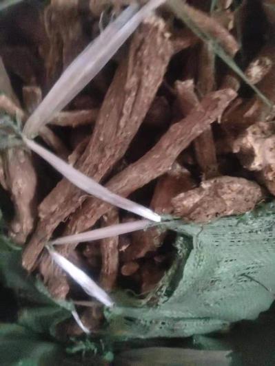 有老板收木香的吗