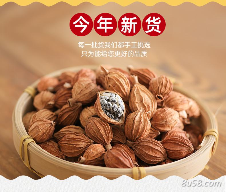 香砂 产地直销