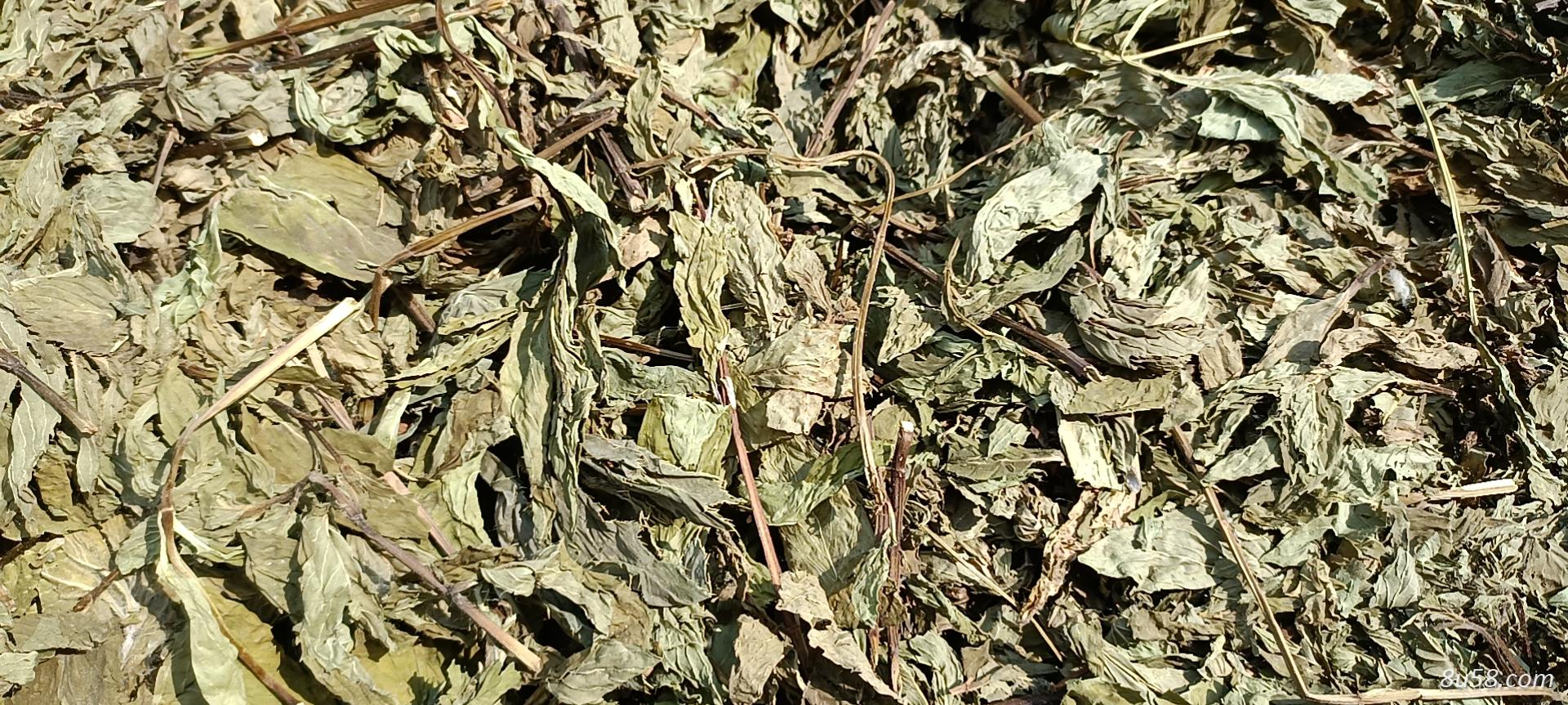 薄荷全检大货