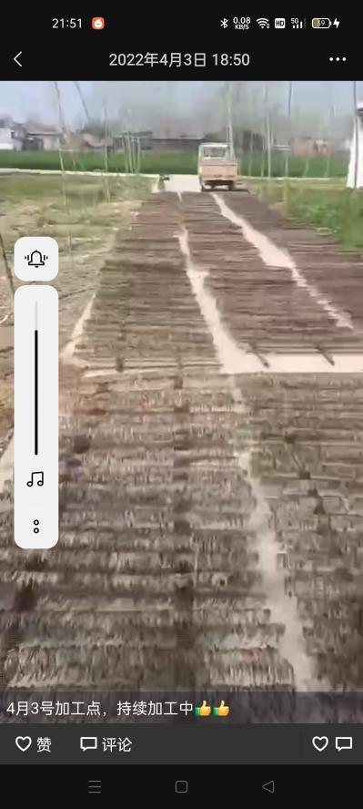 蚯蚓干批发