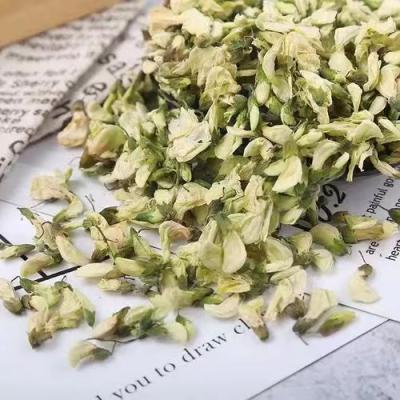 洋槐花  干槐花