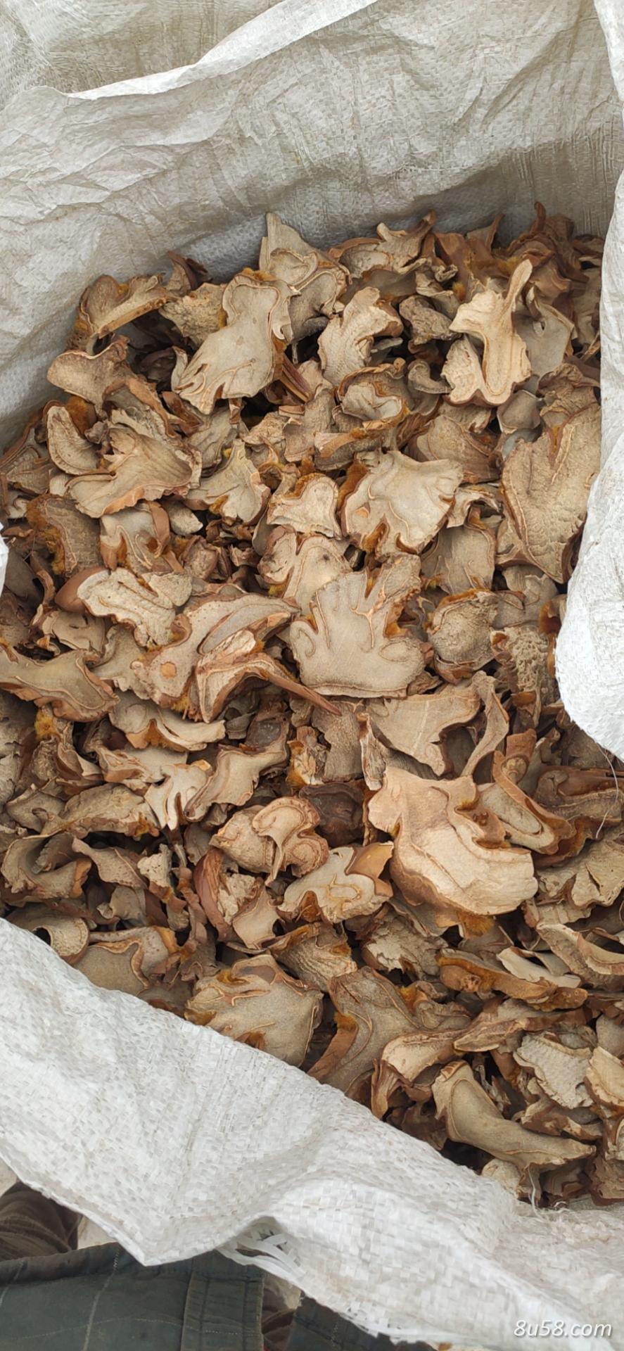 狗脊机切片干货