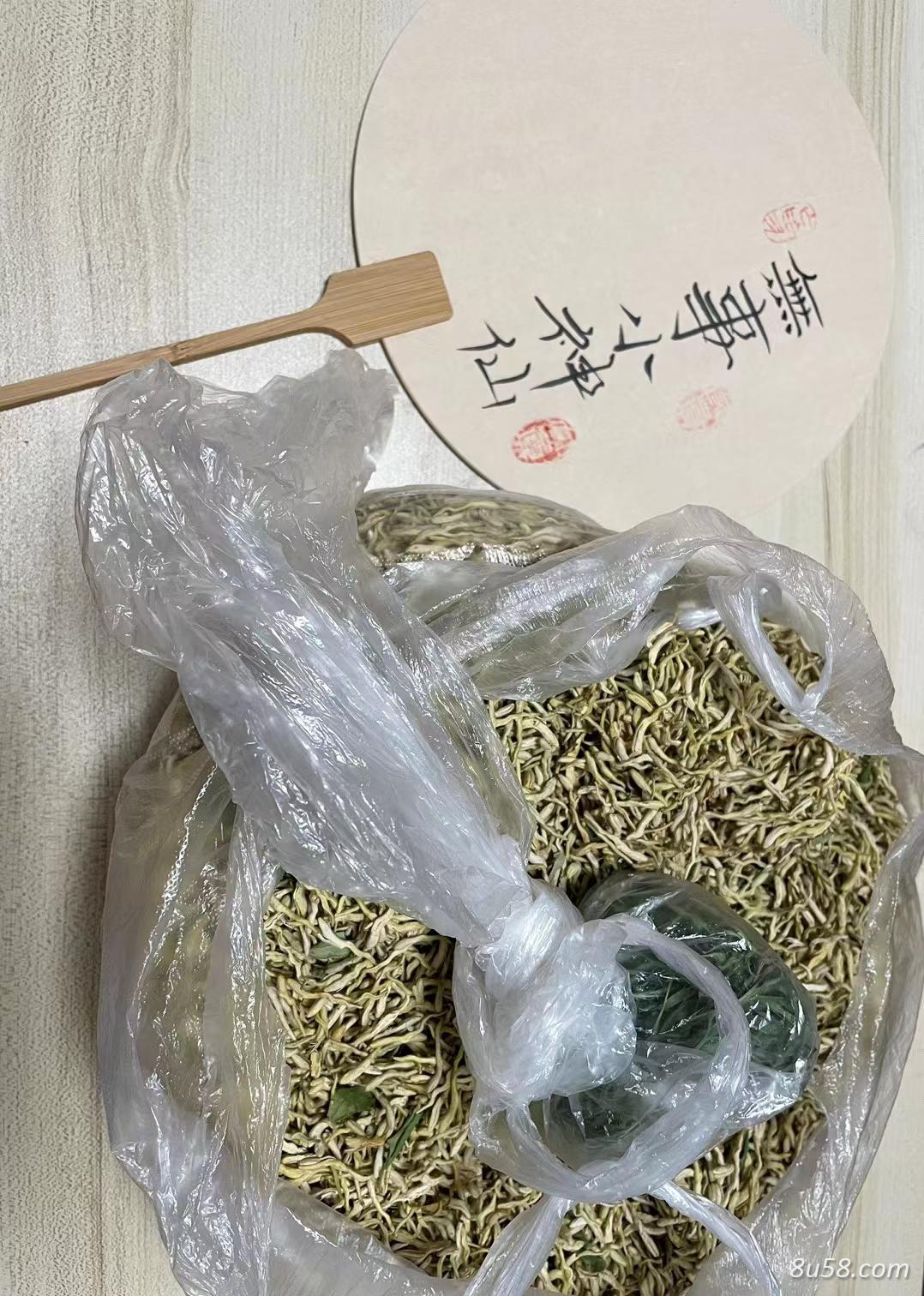 山东金银花