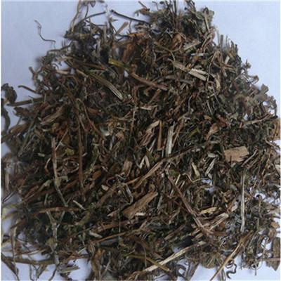八仙草 中药材八仙草批发零售