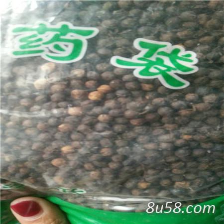 荜澄茄 中药材荜澄茄产地直销