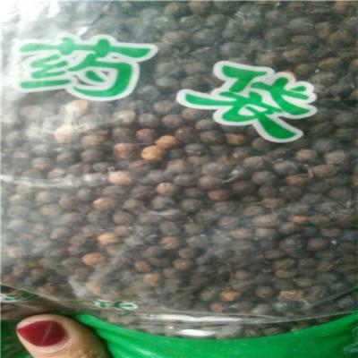 荜澄茄 中药材荜澄茄产地直销