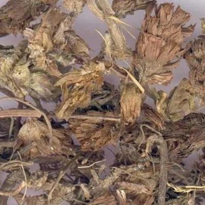 白毛夏枯草 白毛夏枯草产地直销