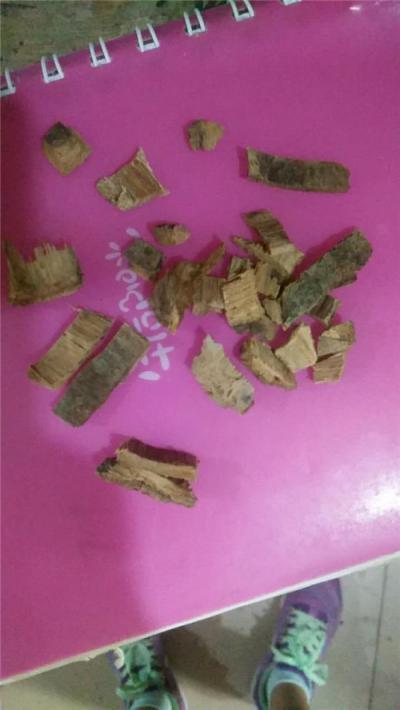 白杨皮 中药材白杨皮产地供应