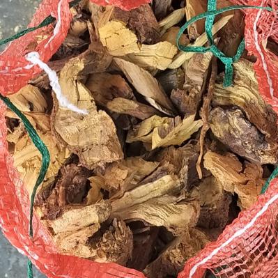 云南高寒山区野生高含量三颗针