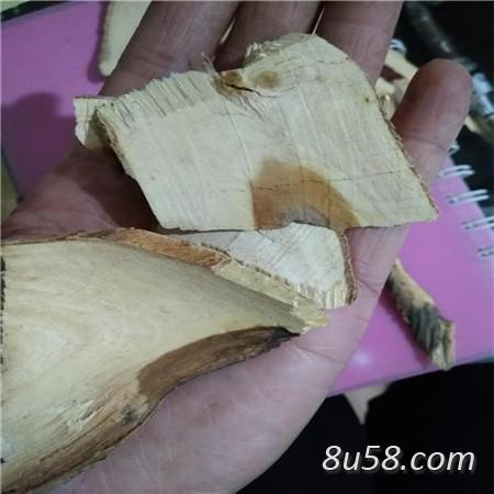 穿破石 中药材穿破石批发零售