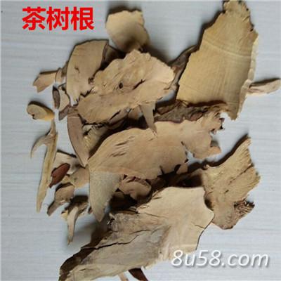 茶树根 中药材茶树根批发零售