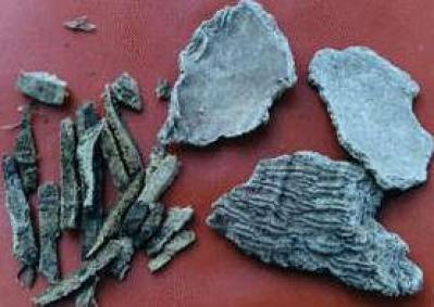 椿身皮 中药材椿身皮批发零售