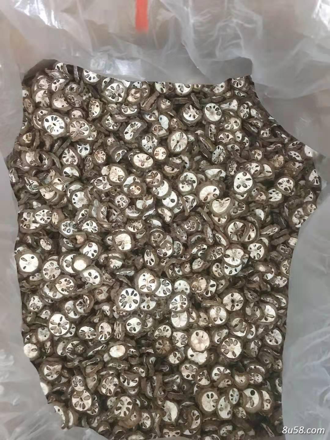 专业种植,销售《预知子》(俗称三叶木通) 专业种植,销售《预知子》(俗称三叶木通)