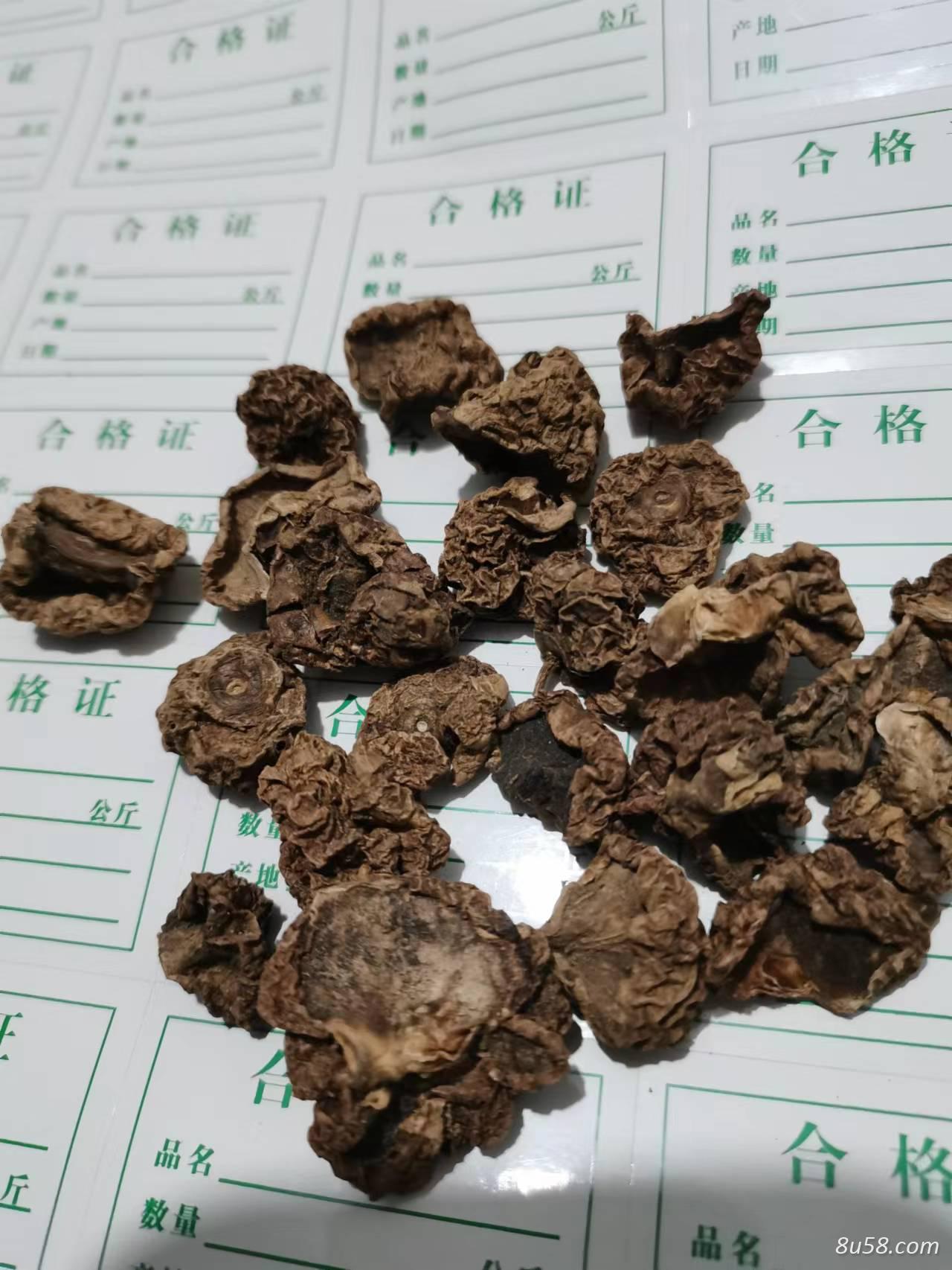 秤砣梨 中药材秤砣梨批发零售