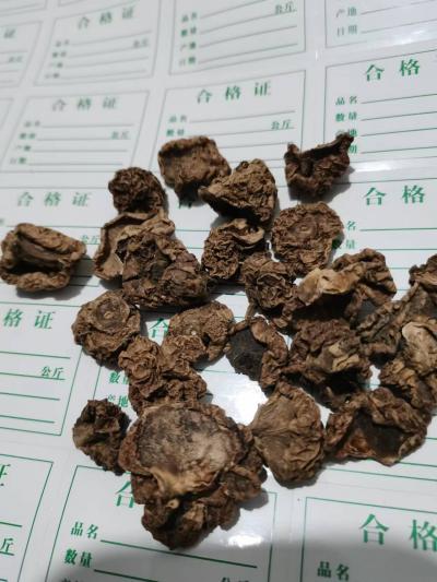秤砣梨 中药材秤砣梨批发零售