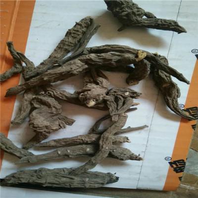 铁棒锤 中药材铁棒锤哪里能买到 铁棒锤供应电话