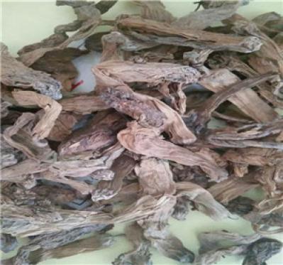 曼陀罗花哪里有卖 曼陀罗花的功效作业