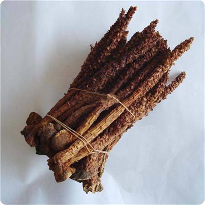 草苁蓉 中药材草苁蓉批发零售