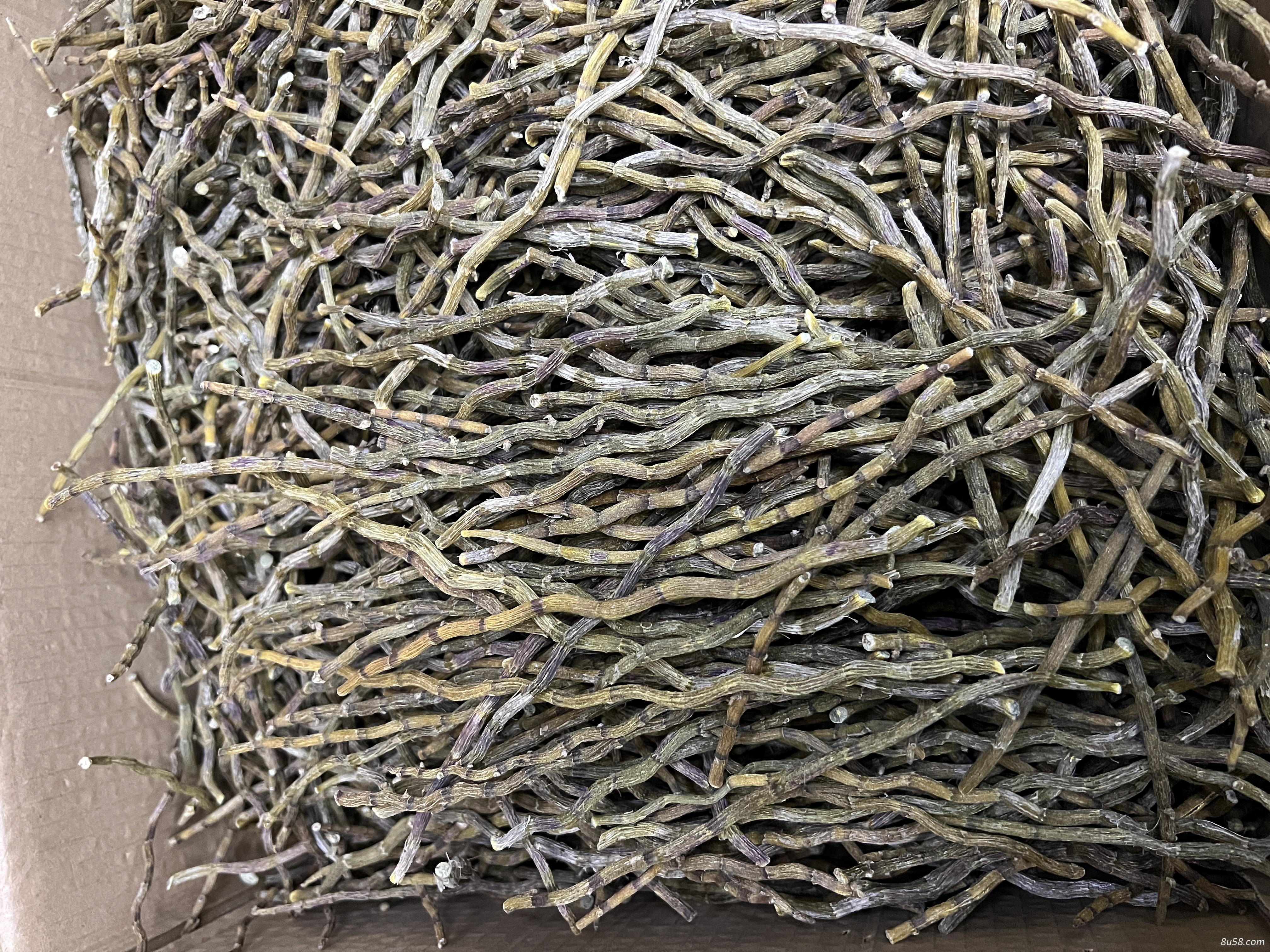 铁皮石斛干条