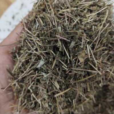 地锦草 中药材地锦草批发零售