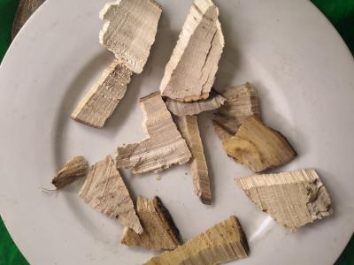 豆豉姜 中药材豆豉姜批发零售