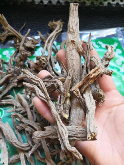 独一味根 中药材独一味根批发零售