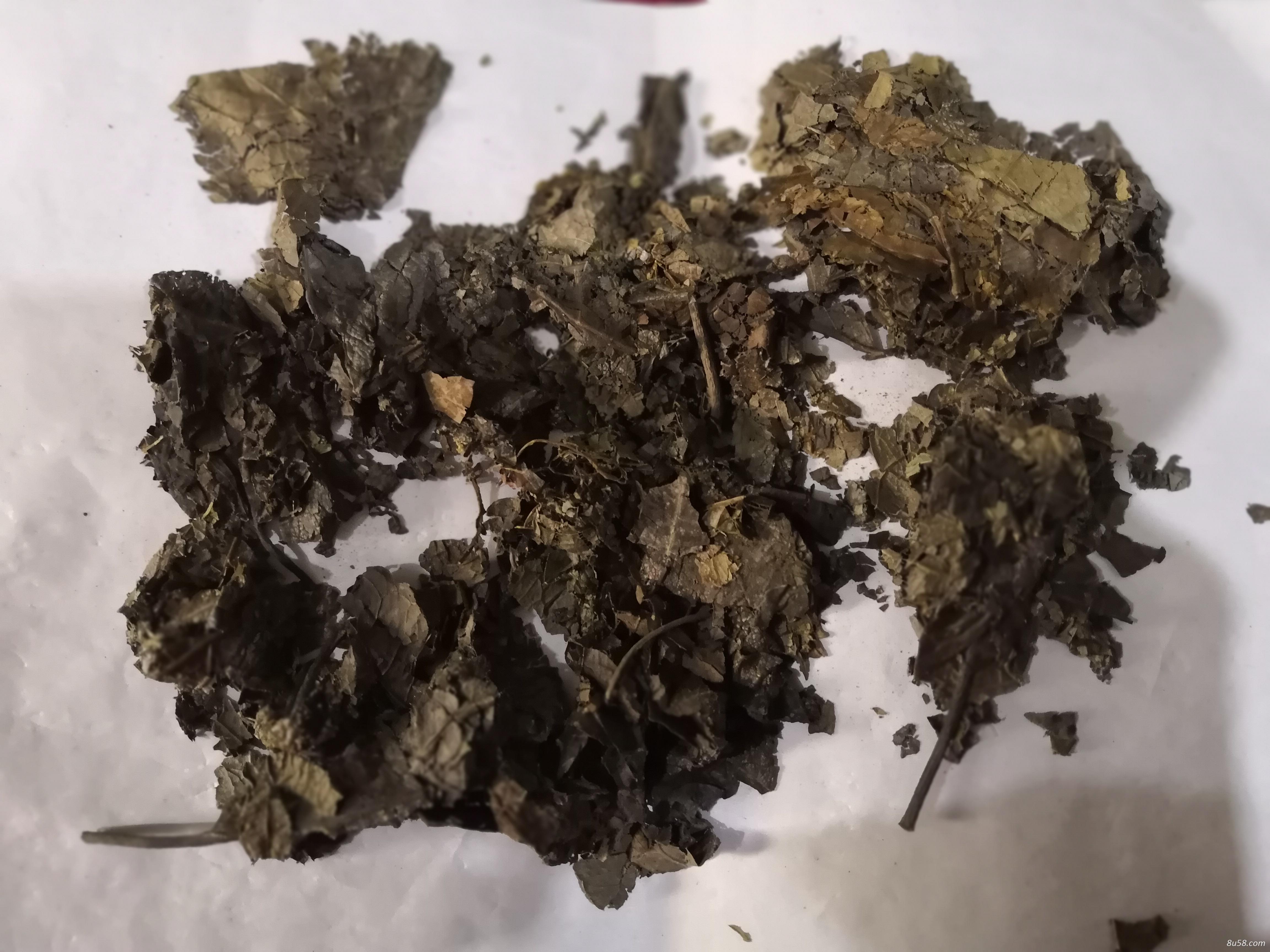 杜仲叶 中药材杜仲叶哪里有卖