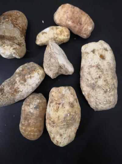 我想买独角莲 中药材独角莲哪里能买到