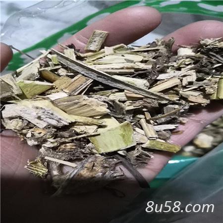 颠茄草 中药材颠茄草批发零售