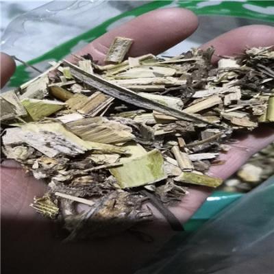 颠茄草 中药材颠茄草批发零售