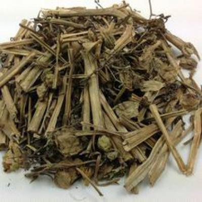灯笼草哪里能买到 灯笼草产地供应