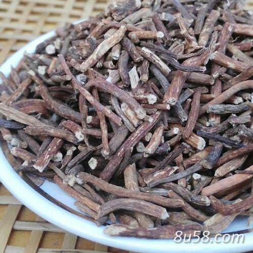 中药材大火草哪里能买到 大火草供应电话