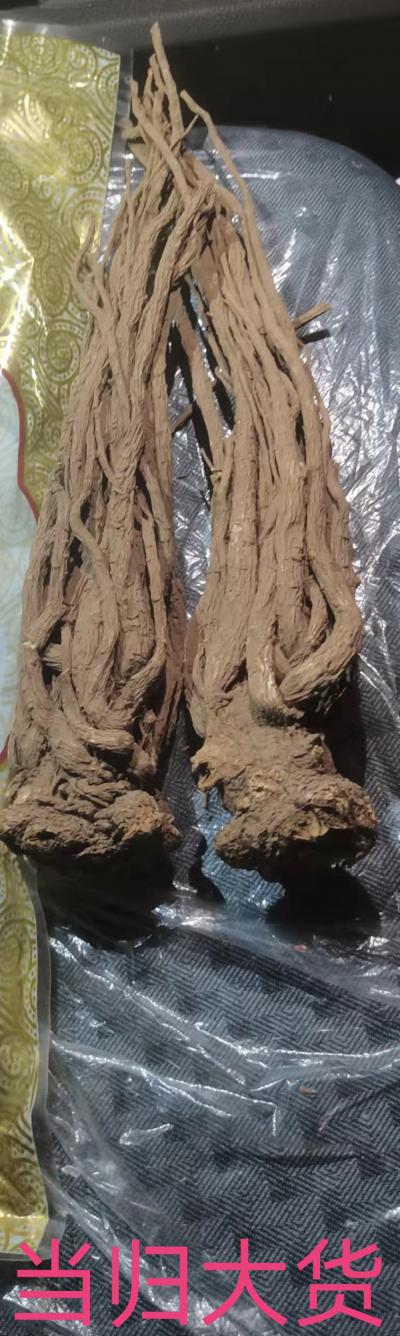 当归药材供应