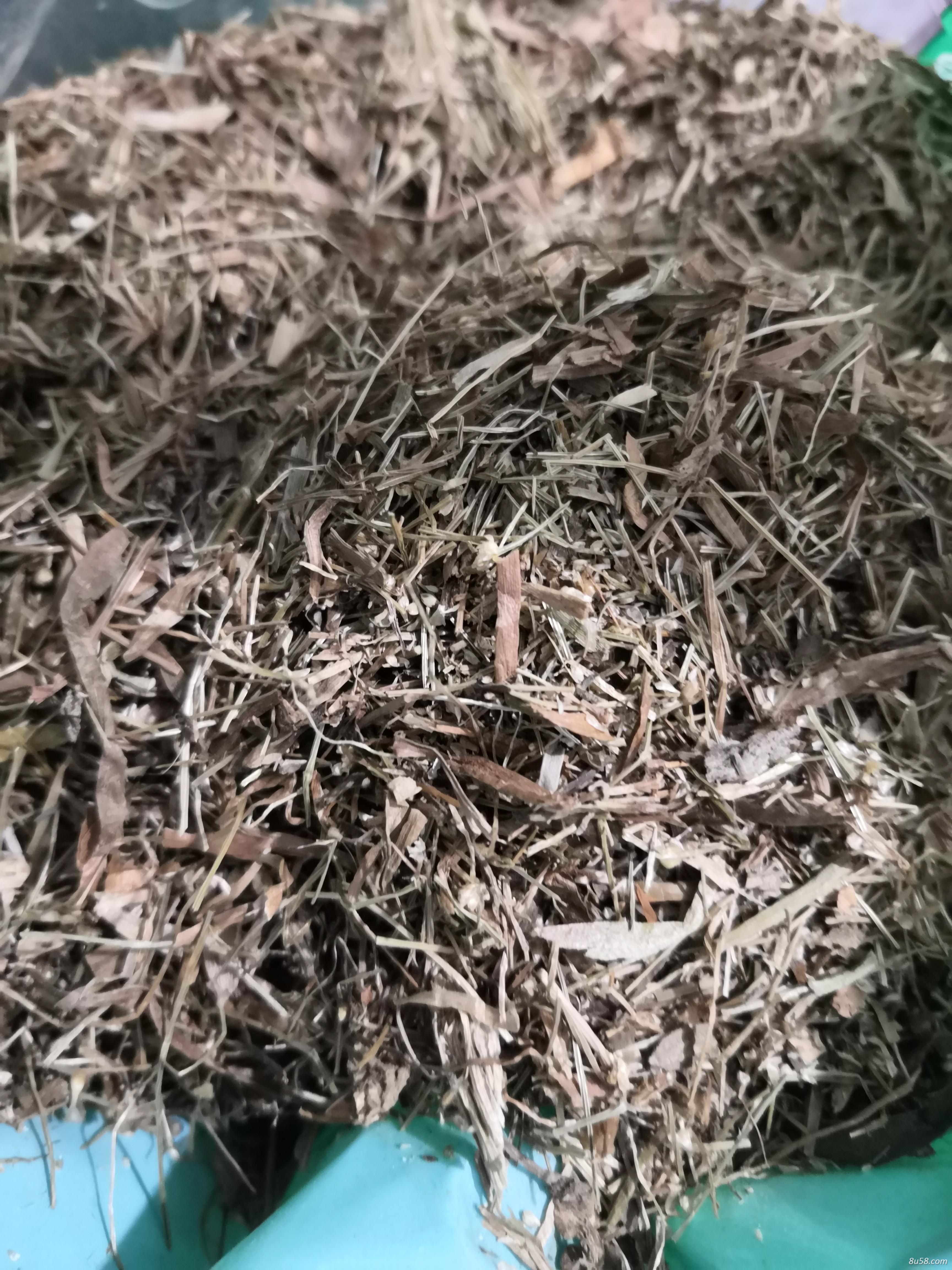 大救驾 中药材大救驾批发零售