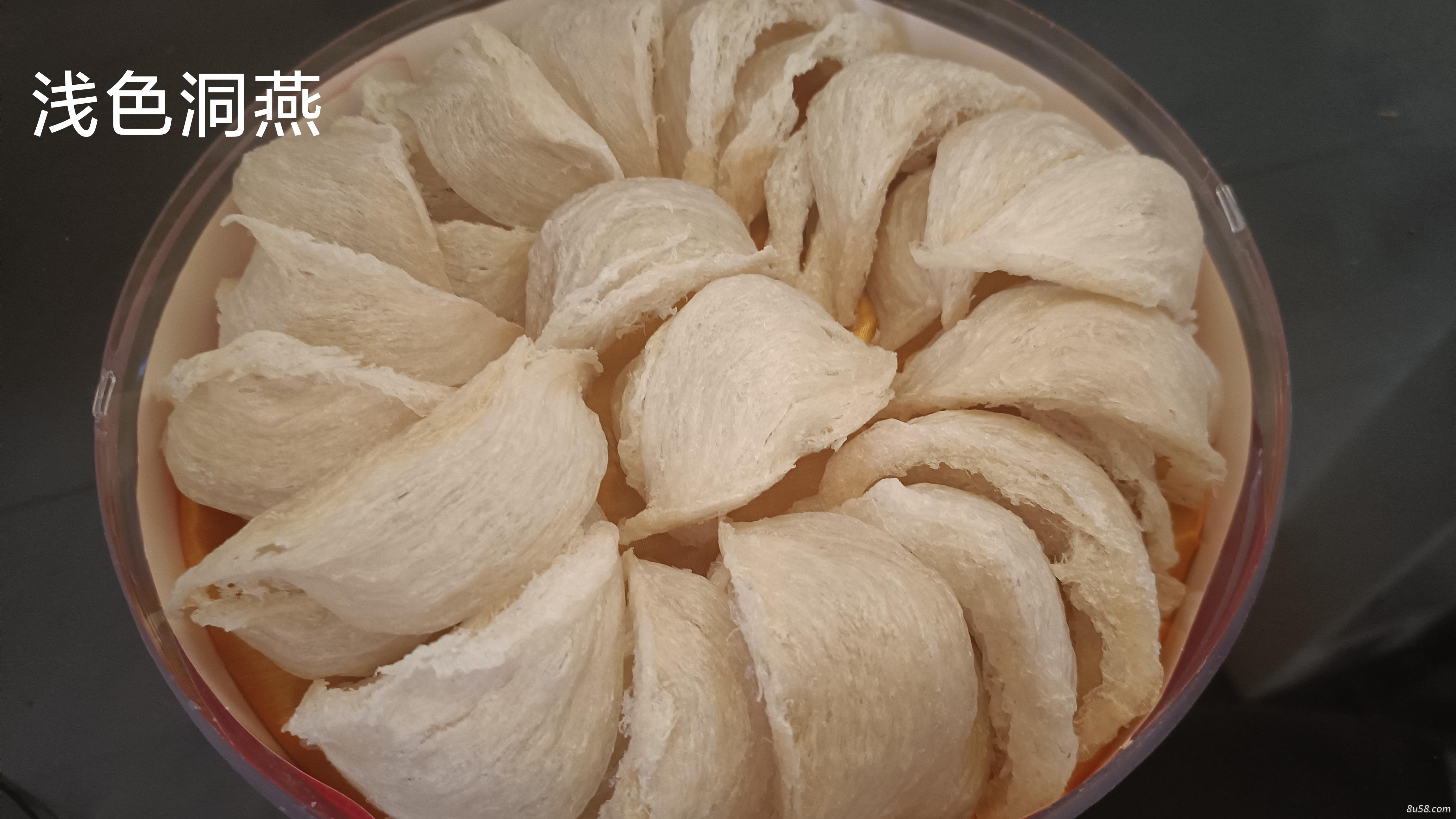 越南海燕极轻毛
