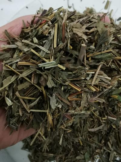 中药材凤尾草哪里有卖 凤尾草批发零售