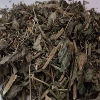 中药材凤仙透骨草哪里能买到 凤仙透骨草每日报价