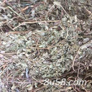飞扬草哪里有卖 中药材飞扬草多少钱一斤