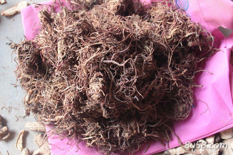 返魂草的功效作用 返魂草批发零售