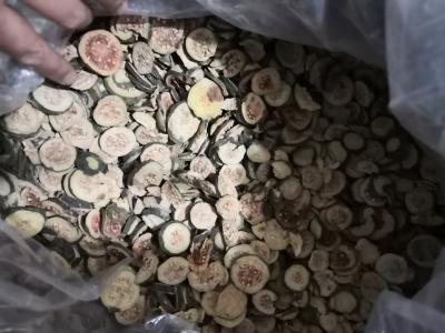 番石榴干的功效 番石榴干多少钱哪里有卖