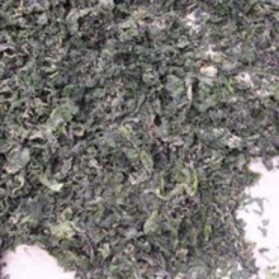 肝炎草的功效 肝炎草哪里有卖