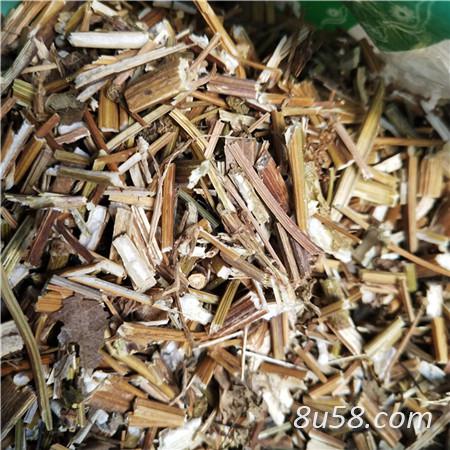 鬼针草批发零售 鬼针草多少钱 鬼针草每日报价