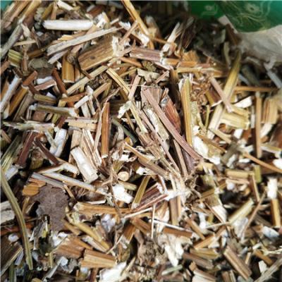 鬼针草批发零售 鬼针草多少钱 鬼针草每日报价