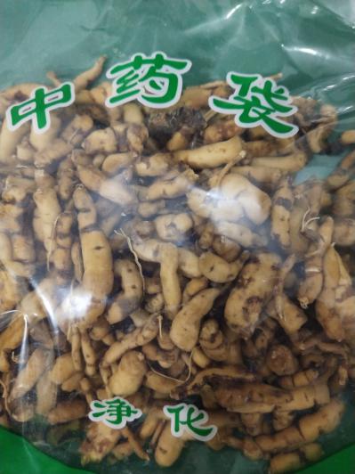 醋甘遂哪里有卖 醋甘遂供应