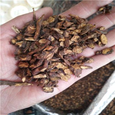 蒲公英根哪里有卖 蒲公英根批发零售
