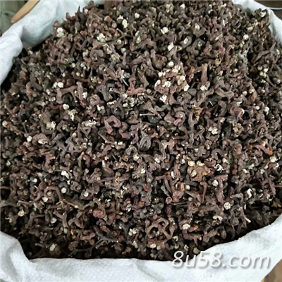 拐枣多少钱一斤 中药材拐枣哪里能买到